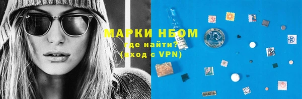 индика Баксан
