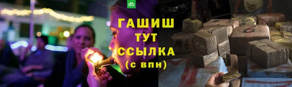 индика Баксан