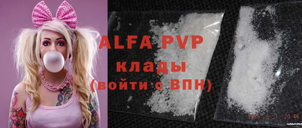 индика Баксан