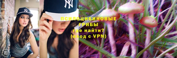 индика Баксан