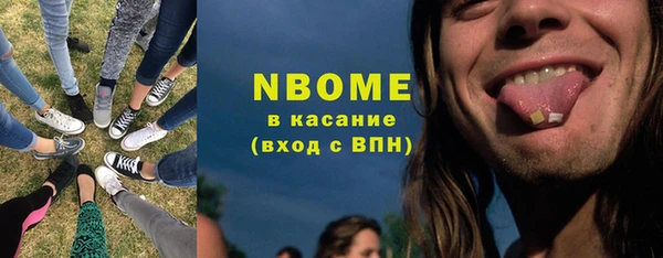 индика Баксан