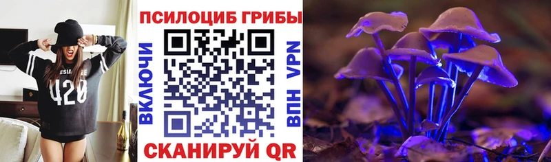 Галлюциногенные грибы MAGIC MUSHROOMS  нарко площадка телеграм  Краснокаменск 