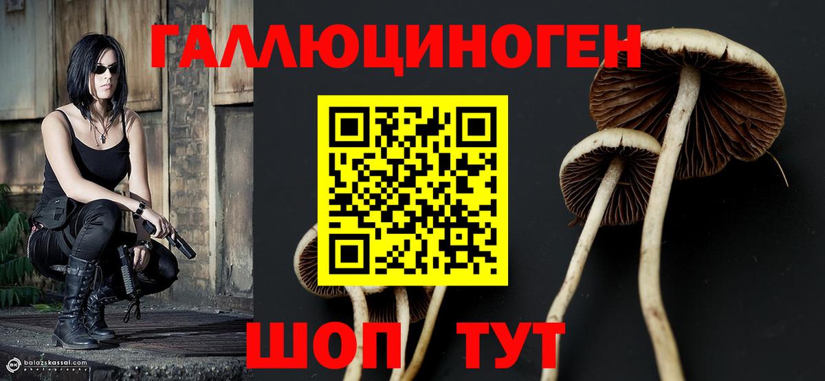 Псилоцибиновые грибы прущие грибы  Вход с VPN  Псилоцибиновые грибы Magic Shrooms  Краснокаменск 